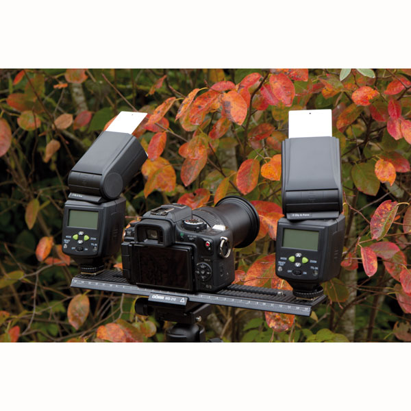 MS-310 Makro-Einstellschlitten